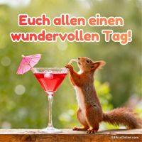 Eichhörnchen trinkt mit Strohhalm aus rotem Cocktailglas mit Sonnenschirmchen vor grünem Hintergrund