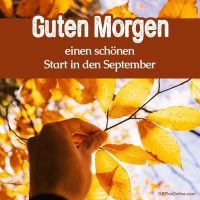Eine Hand hält sanft herbstliche Blätter vor einem klaren Himmel: Ein Moment der Ruhe im goldfarbenen Septemberlicht.