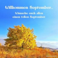 Herbstfarben erwachen am ruhigen Berghang – ein malerischer Start in den September.