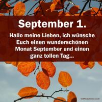 Herbstbeginn: Goldene Blätter gegen den klaren Himmel, ein Hauch von September in der Luft.
