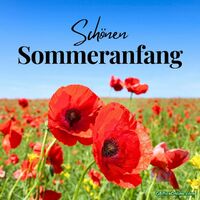 Schöner Sommeranf...
