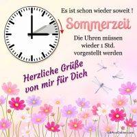 Hinweis auf Sommerzeit: Uhr wird 1 Stunde vorgestellt, dazu bunte Blumen und Libellen, herzliche Grüße