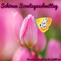 Schönen Sonntagna...