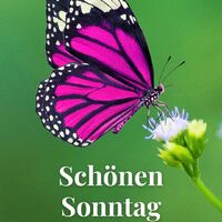 Schönen Sonntag...