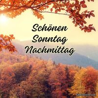 Genieße die ruhigen Stunden inmitten herbstlicher Farben!