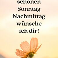 Eine zarte Blume leuchtet im warmen Abendlicht vor einem sanften Himmel.