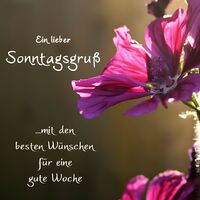 Ein lieber Sonnta...