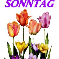 Einen superschöne...