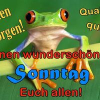 Guten Morgen!...