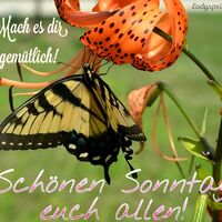 Mach es dir gemüt...