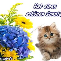 Hab einen schönen...