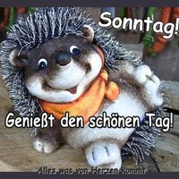 Sonntag! Genießt...