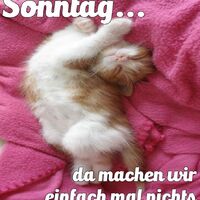 Sonntag...da mach...