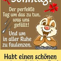 Sonntag! Der perf...