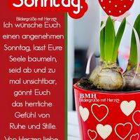 Sonntag. Ich wüns...