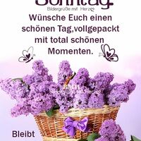 Sonntag. Wünsche...
