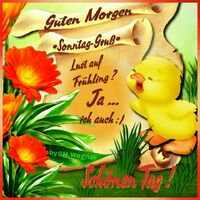 Guten Morgen *Son...