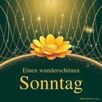 Glitzernde Linien und eine goldene Blume mit dem Wunsch „Einen wunderschönen Sonntag“