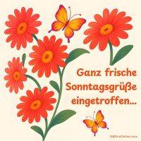 Rote Blumen und Schmetterlinge mit dem Text „Ganz frische Sonntagsgrüße eingetroffen…“