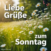 Liebe Grüße zum...