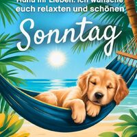Ein entspannender Moment unter der Sonne, ein perfekter Sonntag mit Meeresrauschen und Palmen.