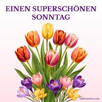 Frische Tulpen und Krokusse verbreiten Frühlingsfreude und laden zum Entspannen ein - ein echtes Fest für die Sinne.