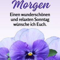 Zarte violette Stiefmütterchen setzen einen sanften, frischen Akzent auf hellem Hintergrund.