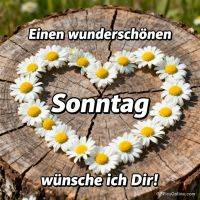 Gänseblümchen in Herzform auf einer Holzscheibe mit Sonntagsgruß