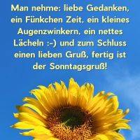 Gelber Sonnenblume vor blauem Himmel mit Spruch zum Sonntag