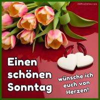 Tulpen auf rotem Untergrund mit zwei weißen Herzanhängern und Sonntagsgruß