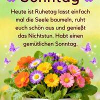 Bunter Blumenstrauß im Topf vor Zaun, lila Schmetterlinge und Grußtext zum Sonntag auf grünem Hintergrund