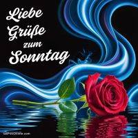 Rote Rose auf Wasser mit blauen Lichtwellen und Schriftzug „Liebe Grüße zum Sonntag“