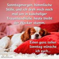 Schlafender Hund auf rotem Kissen vor rosa Hintergrund, dazu ein Sonntagsgruß als Spruch
