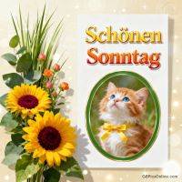 Grußkarte mit Sonnenblumen und einem Kätzchen mit blauen Augen und gelber Schleife