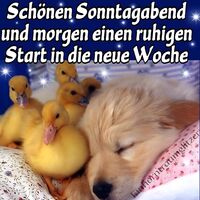 Schönen Sonntagab...