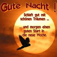 Gute Nacht! Schla...