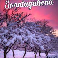 Verschneite Bäume in winterlicher Landschaft vor rosa-lila Abendhimmel mit Grußtext