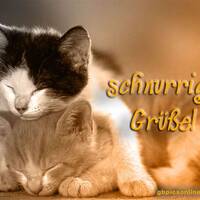 Schnurrige Grüße!