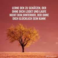 Lerne den zu schä...