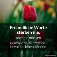 Freundliche Worte...