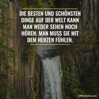 Die besten und...