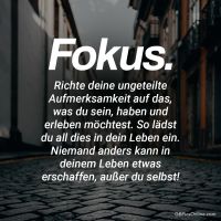 Fokus. Richte...