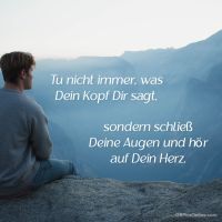 Tu nicht immer...