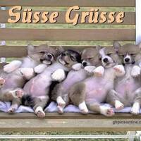 Süsse Grüsse