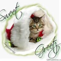 Sweet Greetz