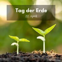 Zwei junge Pflanzen strecken sich in Richtung Licht, ein Symbol für neues Leben und Hoffnung.