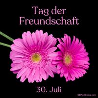 Zwei strahlende Blumen, die an die Schönheit und Bedeutung wahrer Freundschaft erinnern.
