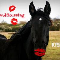 Weltkusstag - Kiss