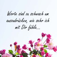 Rosen voller Emotionen – ein Bild, das mehr sagt als tausend Worte.