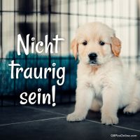 Nicht traurig sein!